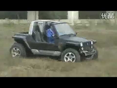 800cc jeep skelter