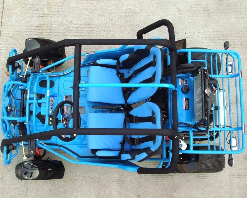250cc kiest het go-kartdubbel Met fouten een Wapen/A uit - Wapen met CVT-Omgekeerde/Wegband