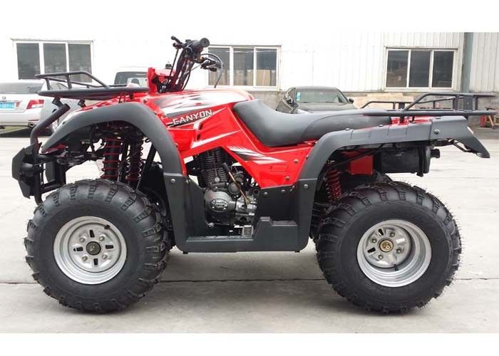 260cc elektrische Begin Vierwielige ATV Schacht die de Rode Rem van de Voertuig met vier wielen Achtertrommel drijven