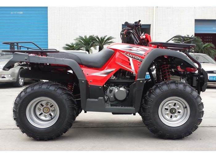 260cc elektrische Begin Vierwielige ATV Schacht die de Rode Rem van de Voertuig met vier wielen Achtertrommel drijven
