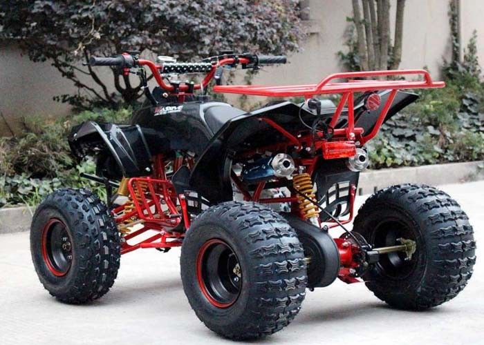 Enige de Fietsvoertuigen met vier wielen 4 X 4 van de Cilinder125cc Atv Vierling met Achterrek/Heldere Koplampen