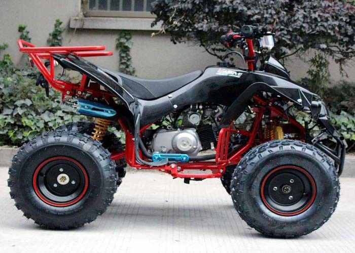 Enige de Fietsvoertuigen met vier wielen 4 X 4 van de Cilinder125cc Atv Vierling met Achterrek/Heldere Koplampen
