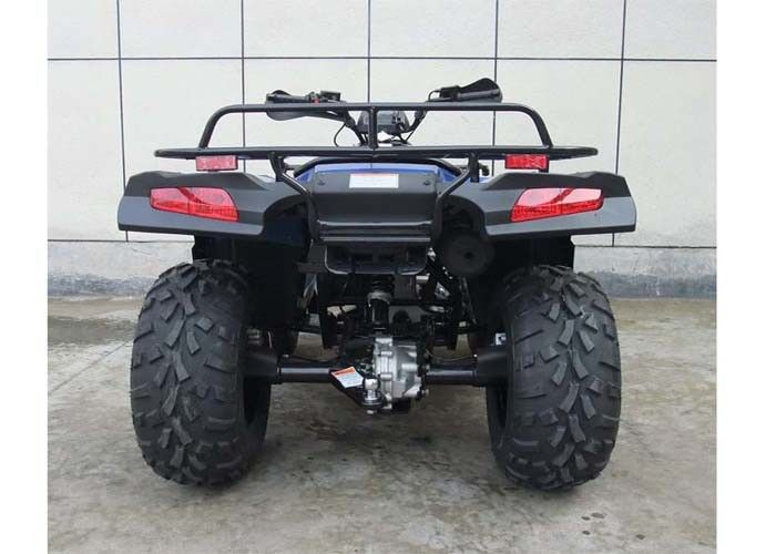 De snelle Voertuigen met vier wielen 300cc, het Rennen Voertuigen met vier wielen 4 van de Snelheidssport Slag met CITIZENS BANDmotor CVT