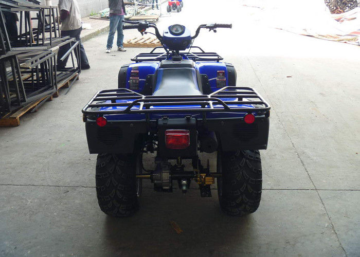 Viertakt van de de Vierlingfiets van 250cc Atv het Water Koele Motor met 4 wielen voor Volwassenen