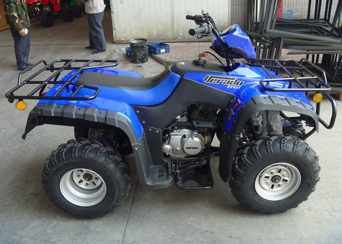 Viertakt van de de Vierlingfiets van 250cc Atv het Water Koele Motor met 4 wielen voor Volwassenen