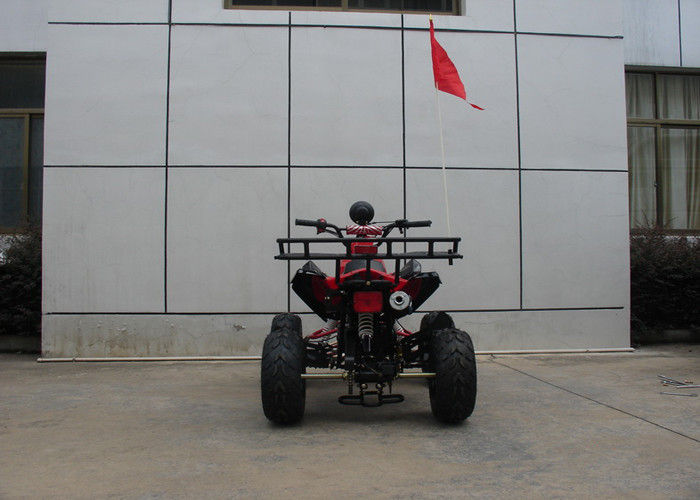 8“ de Voertuigen van het Banden110cc Nut Atv met Ront-Achter de Schijfrem van de Trommelrem/Voetrem