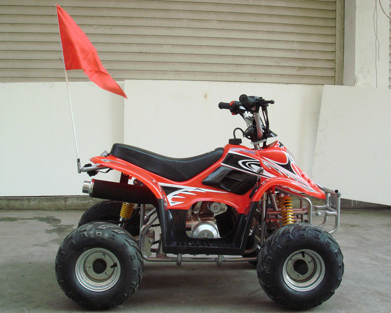 Klein Grootte 4 x 4 Nut Atv 70cc 90cc 110cc, Jonge geitjesvoertuigen met vier wielen met Twee Wielaandrijving