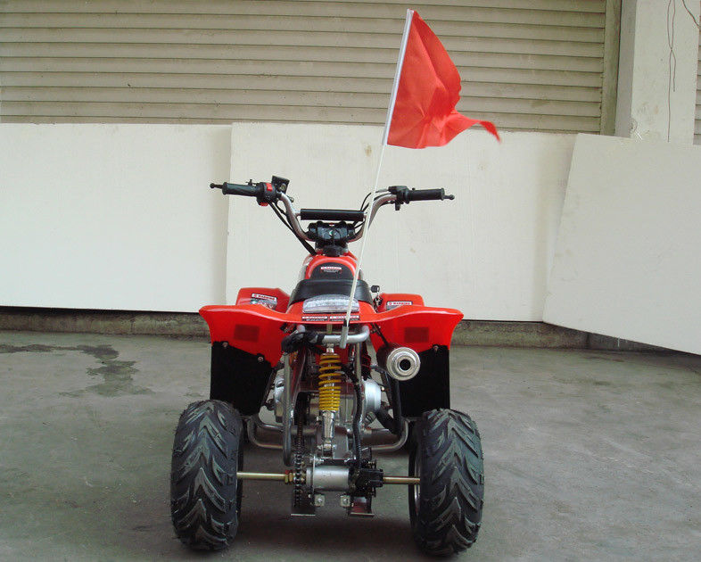 Klein Grootte 4 x 4 Nut Atv 70cc 90cc 110cc, Jonge geitjesvoertuigen met vier wielen met Twee Wielaandrijving