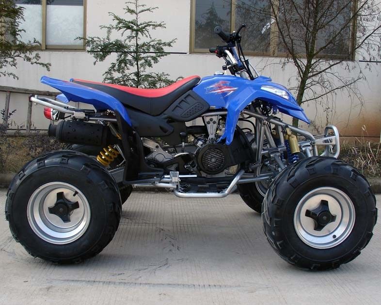 Buitengewoon brede Grootte 10“ Band Grote Voertuigen met vier wielen 150cc volledig Automatisch met Omgekeerde