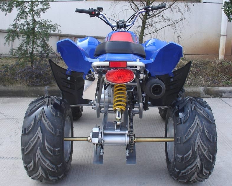 Buitengewoon brede Grootte 10“ Band Grote Voertuigen met vier wielen 150cc volledig Automatisch met Omgekeerde