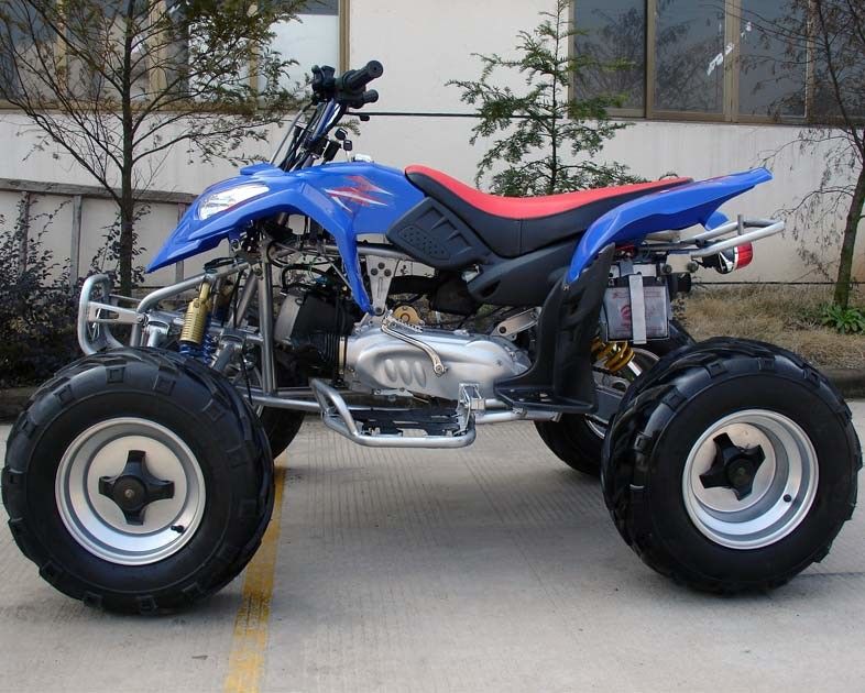 Buitengewoon brede Grootte 10“ Band Grote Voertuigen met vier wielen 150cc volledig Automatisch met Omgekeerde