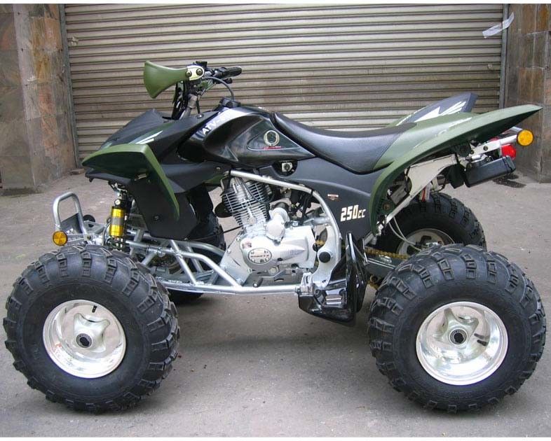 De buitengewoon brede Jeugd die CDI van de de Vierlingfiets van Atv 250cc Atv Elektrische Begin Handkoppeling rennen