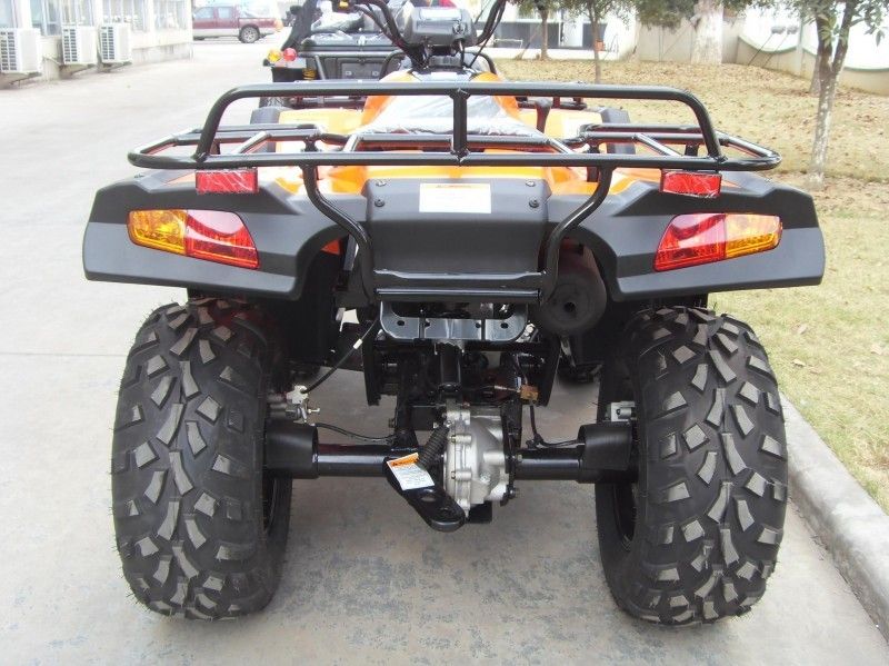 300CC het nutsvoertuig Atv 40.3mile/H met 2 Zetels, Dubbel a-Wapen/kiest a-Wapen uit