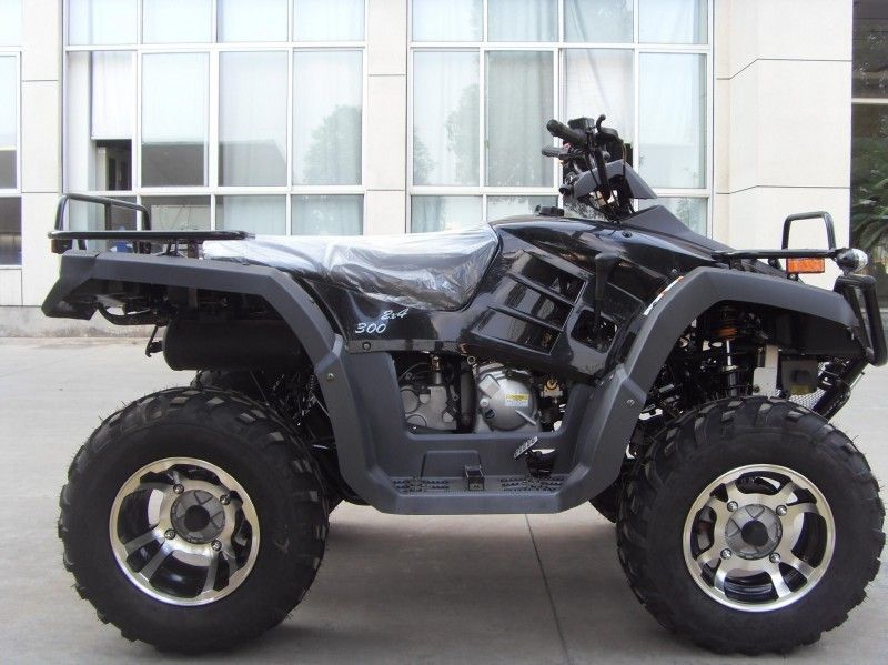 300CC het nutsvoertuig Atv 40.3mile/H met 2 Zetels, Dubbel a-Wapen/kiest a-Wapen uit