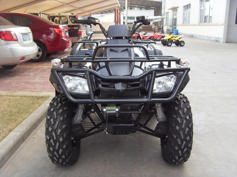 300CC het nutsvoertuig Atv 40.3mile/H met 2 Zetels, Dubbel a-Wapen/kiest a-Wapen uit