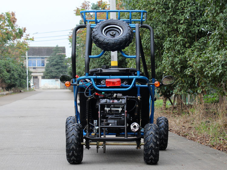 Het horizontale Typego-kart Met fouten met 110cc kiest Cilinder, de Maximum Snelheid van 40 Km/H uit