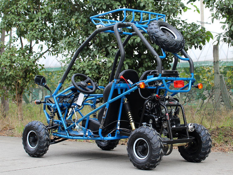 Het horizontale Typego-kart Met fouten met 110cc kiest Cilinder, de Maximum Snelheid van 40 Km/H uit