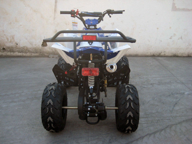 De lucht koelde 7“ de Band125cc 70CC 90CC 110CC Jeugd Rennend ATV met Automatische Koppeling