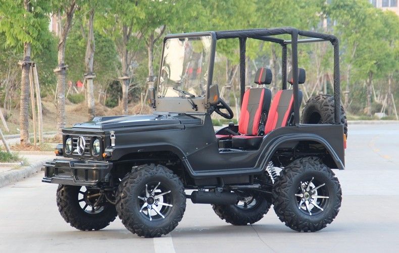 Minijeep 4WD die ATV-Sportengo-kart Met fouten voor Volwassene, 300cc-Go-kart rent