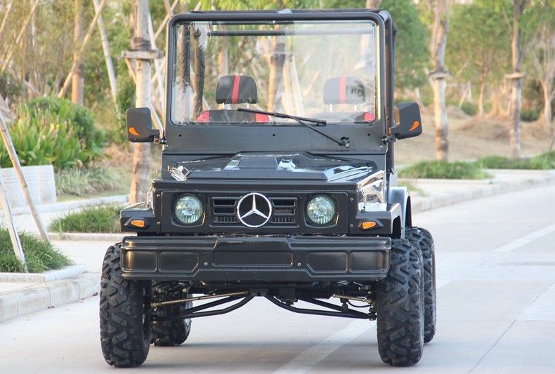 Minijeep 4WD die ATV-Sportengo-kart Met fouten voor Volwassene, 300cc-Go-kart rent