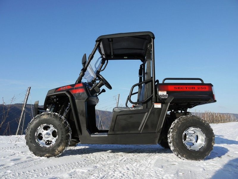 UTV 250 Tiltable Voertuigen van het het Gasnut van de Laderkruk met Efi - Rood, Windsheild en Towbar