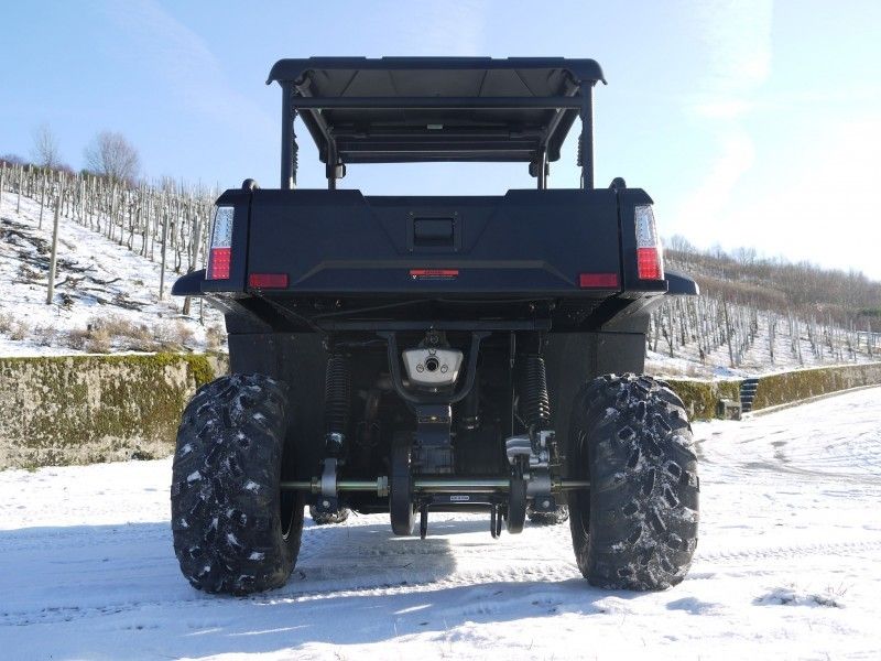 UTV 250 Tiltable Voertuigen van het het Gasnut van de Laderkruk met Efi - Rood, Windsheild en Towbar