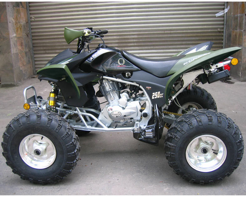 Landbouwbedrijf en Bosweg250cc de Jeugd die ATV, Maximum Snelheid 46.6mile/h rennen
