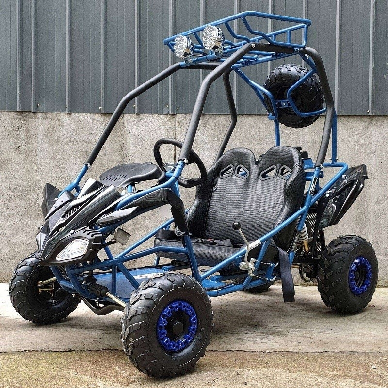 Go Kart Buggy Kids Go Kart Type-GTS Automatisch W/ Terug, reservewiel