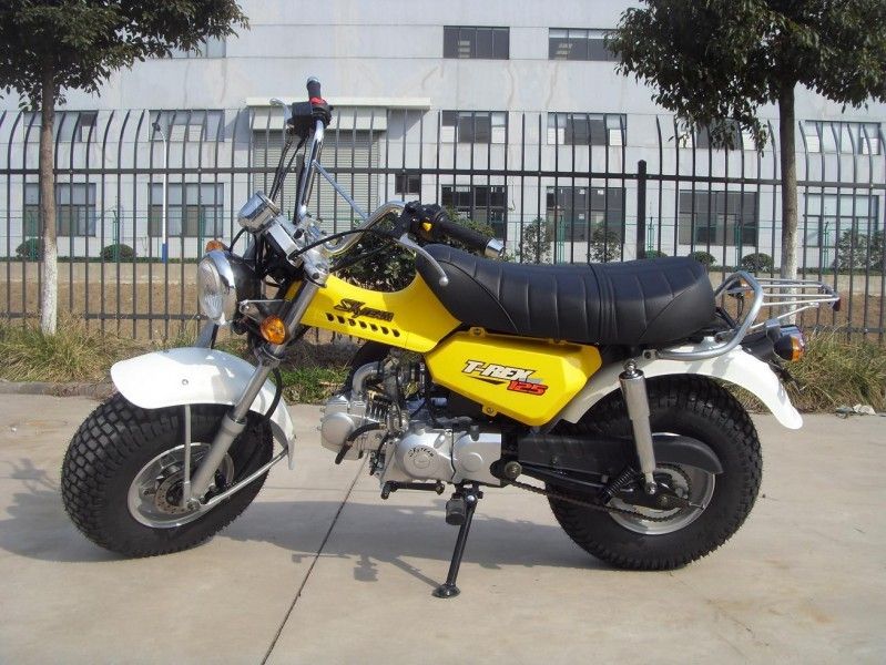 Skyteam T - Rex 125 de Minifiets van 125cc, 2 Mensenmotorfiets met 4 Snelheidstoestel