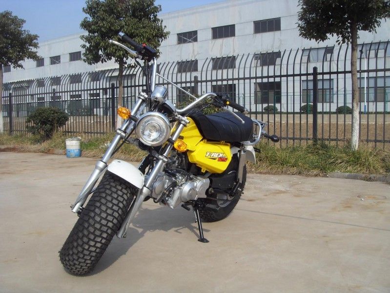 Skyteam T - Rex 125 de Minifiets van 125cc, 2 Mensenmotorfiets met 4 Snelheidstoestel
