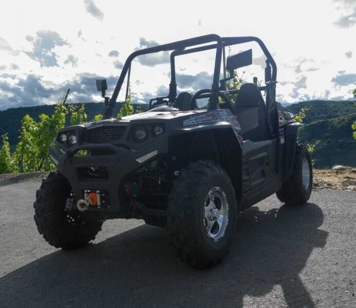250cc het grote Voertuig van het Grootte Vierwielige Nut, Water Gekoelde ATV-Nutsvoertuigen