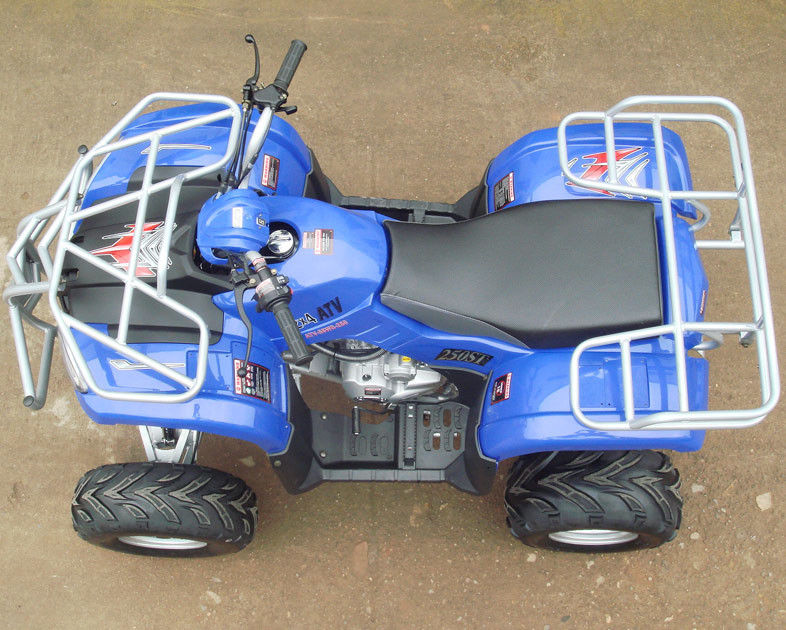Elektrische 8“ omranden van de de Vierlingfiets van 250cc ATV Motor de met 4 wielen met Handkoppeling