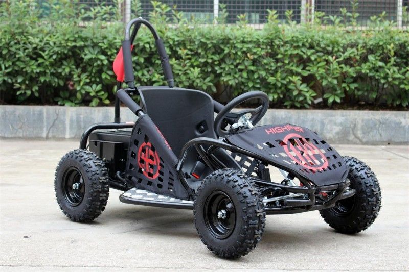 35km/H tweepersoonsgo-kart Met fouten, 1000w-het Goedgekeurde Go-kart EPA van Jonge geitjesoff road