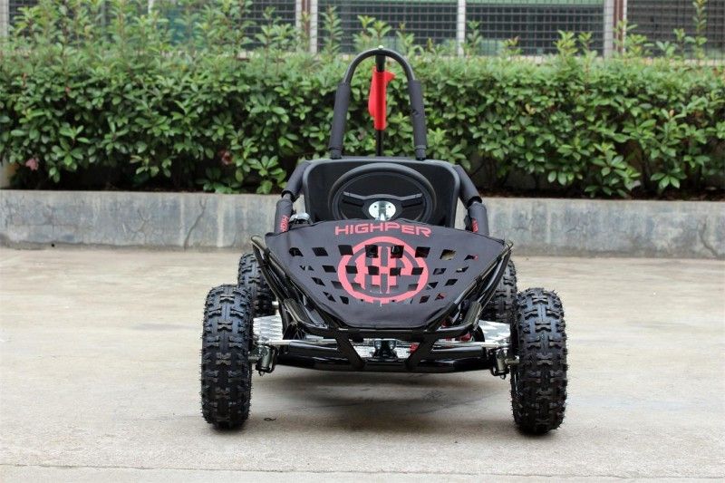 35km/H tweepersoonsgo-kart Met fouten, 1000w-het Goedgekeurde Go-kart EPA van Jonge geitjesoff road