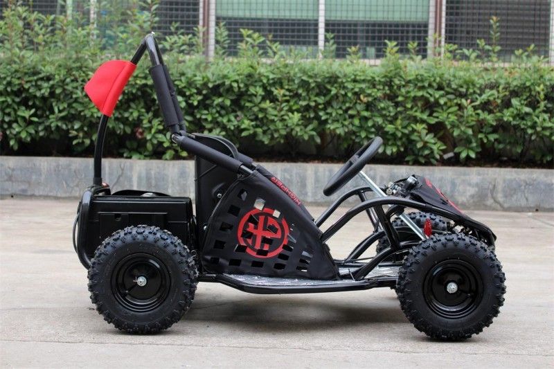 35km/H tweepersoonsgo-kart Met fouten, 1000w-het Goedgekeurde Go-kart EPA van Jonge geitjesoff road