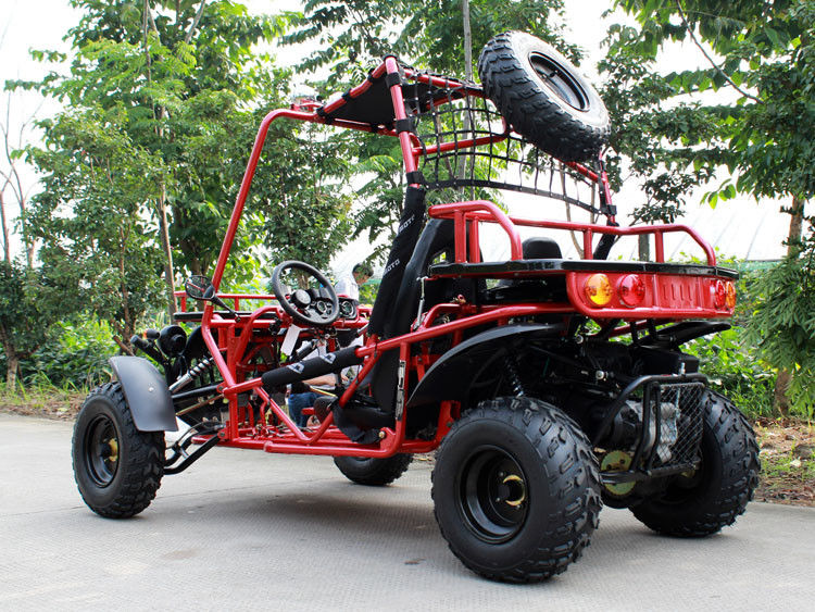 Horizontaal Enig Cilinder200cc Volwassen Go-kart 80km/H met CDI Ontstekingssysteem