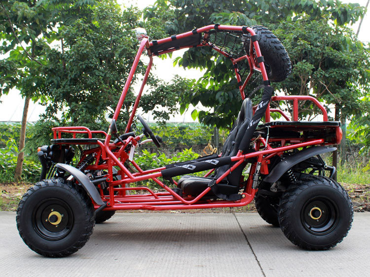Horizontaal Enig Cilinder200cc Volwassen Go-kart 80km/H met CDI Ontstekingssysteem