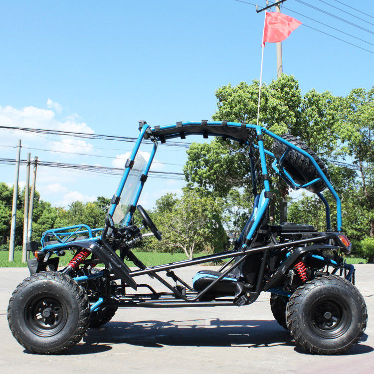 Riem/Kettingoverbrengingslucht koelde het Volwassen Off Road Go-kart van 200cc met CVT-Toestel