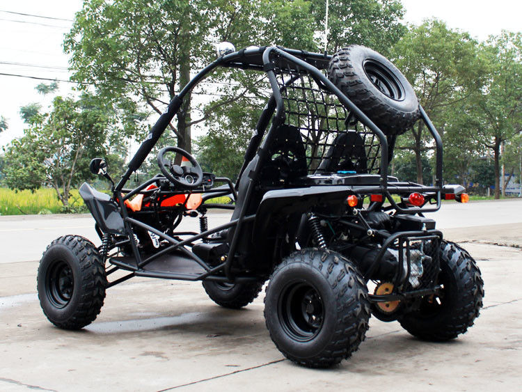 Dual Shock-Lucht koelde 2 Seater Off Road Go-kart met Riemaandrijving + Kettingoverbrenging