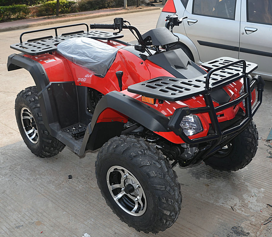 Cdi Ontsteking 4 Fietsen 4x4 65km/H van de Slag18.35hp 300cc Atv de Volwassen Vierling