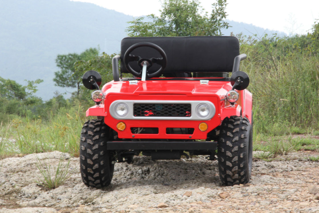 Elektrisch Begin110cc 125cc 150cc Off Road Go-kart/Naast elkaar Go-kart