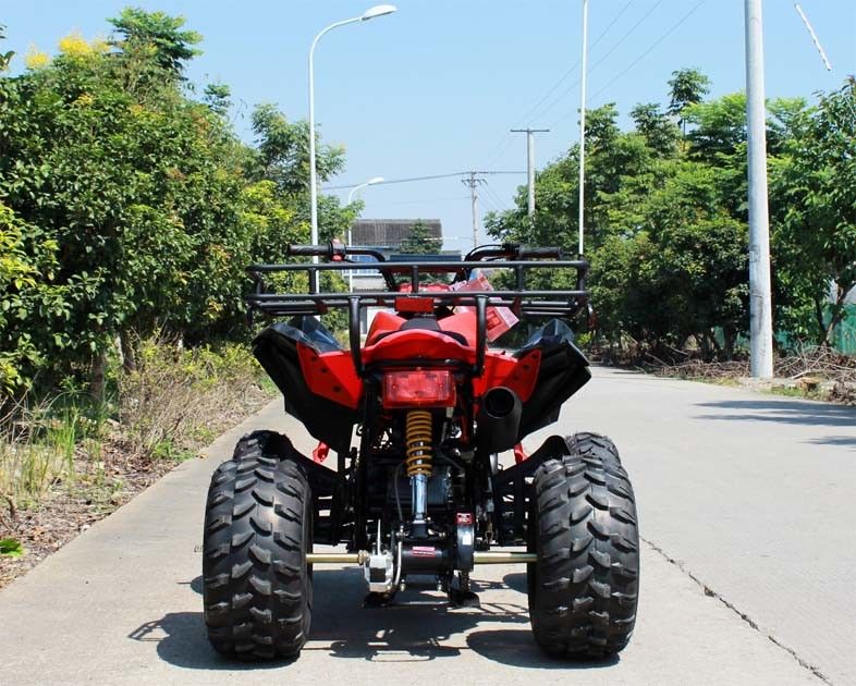 13.9HP het water koelde de Jeugd Rennend de Speculant van ATV 200cc 4 met Achterschijfrem