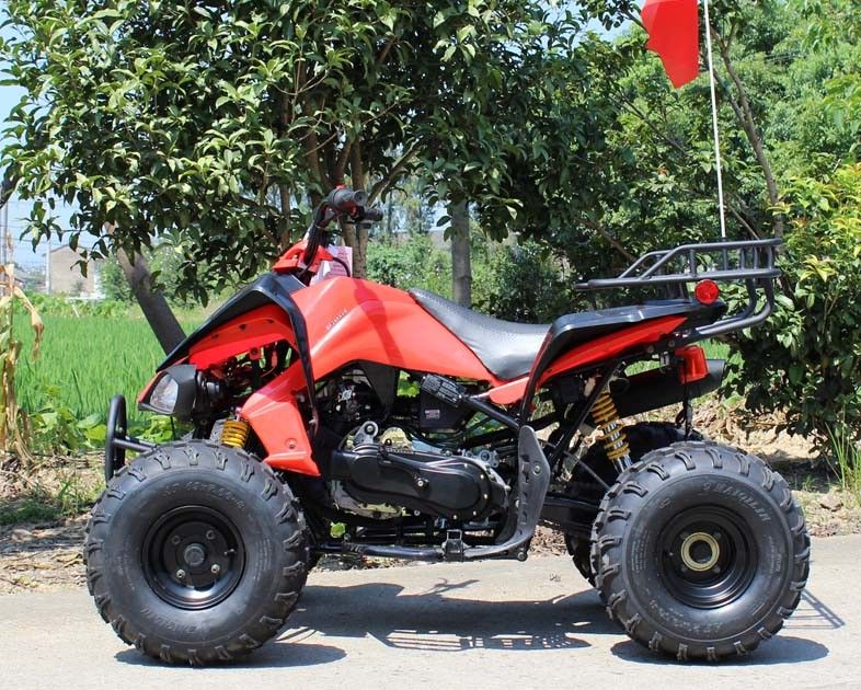 13.9HP het water koelde de Jeugd Rennend de Speculant van ATV 200cc 4 met Achterschijfrem