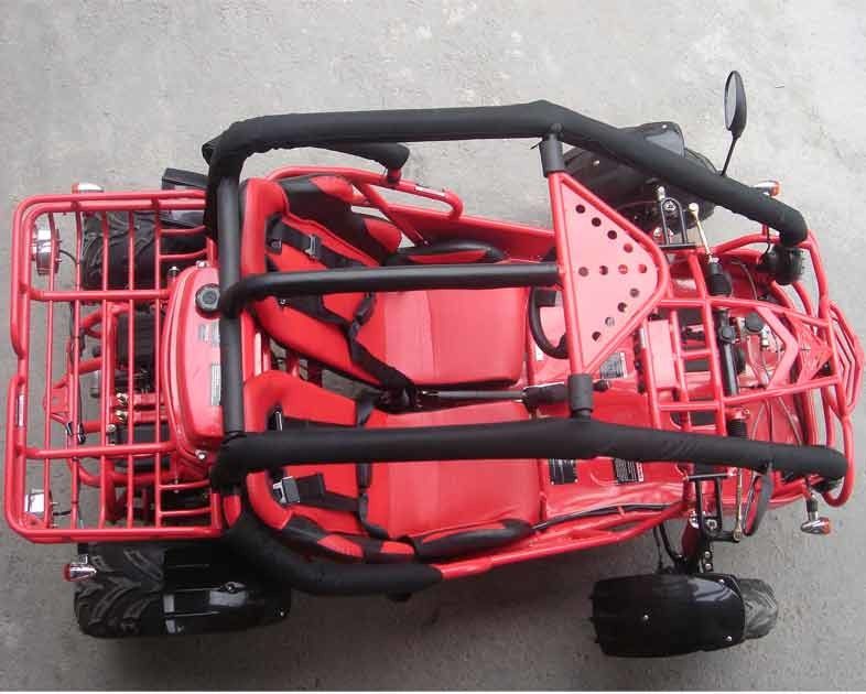 Volledig - groottego-kart Lucht Gekoelde 150cc Met fouten Cvt met Kettingoverbrenging