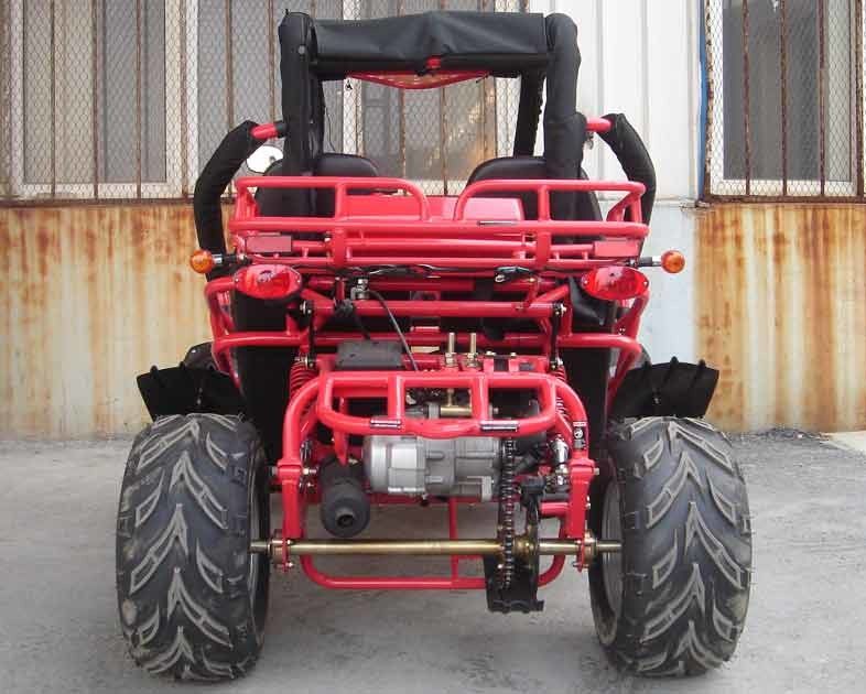 Volledig - groottego-kart Lucht Gekoelde 150cc Met fouten Cvt met Kettingoverbrenging