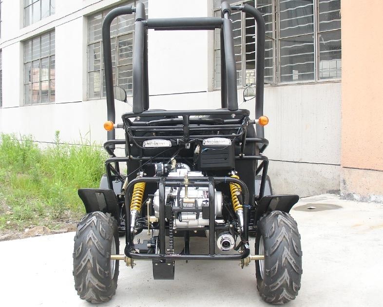 Kleine 3 verzenden 110cc-Go-kart Twee Met fouten Seater Atv met CDI Electirc Begin