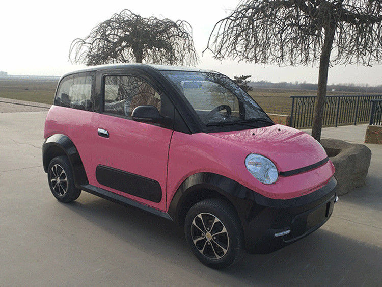 Roze/Blauwe Elektrische Golfkarren 220v 4.2kw 2 de Elektrische Auto van Seat met Voorschijf/Achtertrommel