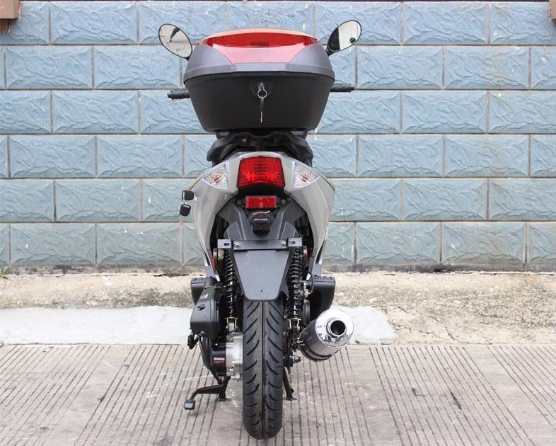 12“ Voorschijf en de Achter Volwassen Scooter van de Trommelrem 50cc met Boomstam