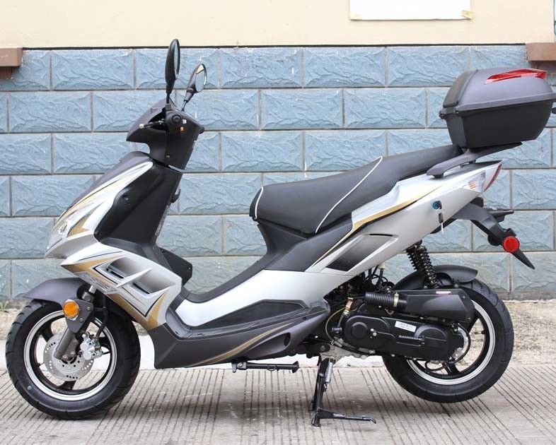 12“ Voorschijf en de Achter Volwassen Scooter van de Trommelrem 50cc met Boomstam
