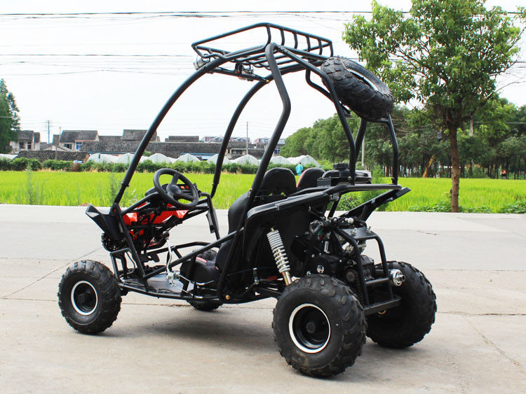 125cc kies Cilinder 2 Seater-Go-kart 4 Storke 154FMI met 3L-Tank uit